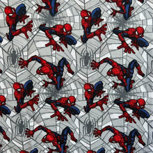 Load image into Gallery viewer, Grey Spiderman
